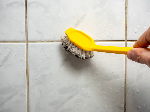 Best Water Damage Restoration  in Belvedere, CA