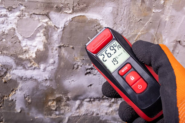 Best Home Mold Removal  in Belvedere, CA