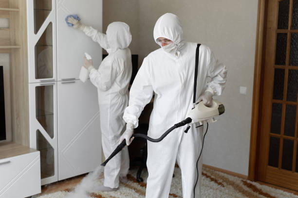Best Same-Day Mold Removal  in Belvedere, CA