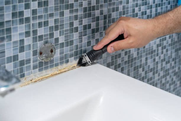 Best Emergency Mold Removal  in Belvedere, CA